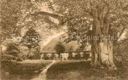 AK / Ansichtskarte Bispingen Pfarrhaus mit 500jaehriger Linde Bispingen