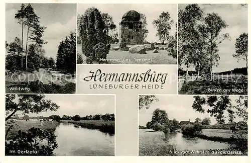 AK / Ansichtskarte Hermannsburg Waldweg Hermann Loens Denkmal Birken am Weg Im Oertzetal Oertzepartie Hermannsburg
