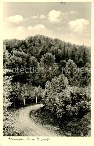 AK / Ansichtskarte Ostercappeln An der Bergstrasse Ostercappeln