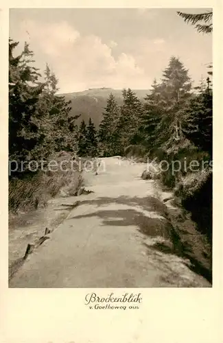 AK / Ansichtskarte Brocken_Harz Blick vom Goetheweg zum Brocken Brocken Harz