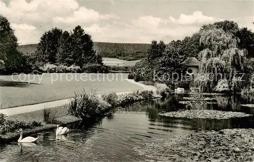 AK / Ansichtskarte Bad_Pyrmont Malerwinkel Schwanenteich Bad_Pyrmont