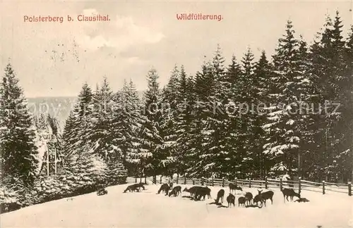 AK / Ansichtskarte Clausthal Zellerfeld Wildfuetterung am Polsterberg Clausthal Zellerfeld