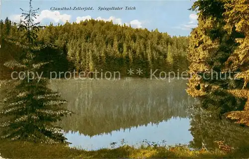 AK / Ansichtskarte Clausthal Zellerfeld Spiegeltaler Teich Clausthal Zellerfeld