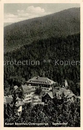 AK / Ansichtskarte  Baerenfels_Erzgebirge_Altenberg Sachsenhof 