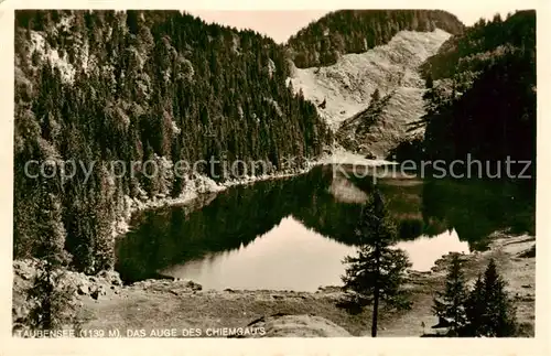 AK / Ansichtskarte 73812015 Taubensee_Daubensee_1139m_Chiemgau Panorama 