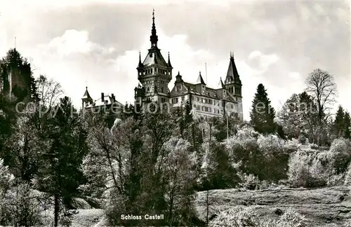 AK / Ansichtskarte  Schloss_Castell Ansicht 