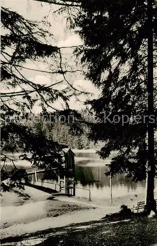 AK / Ansichtskarte  Hahnenklee-Bockswiese_Harz Am Grumbacher Teich Hahnenklee-Bockswiese