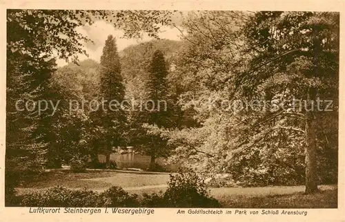 AK / Ansichtskarte  Steinbergen Am Goldfischteich im Park von Schloss Arensburg Steinbergen