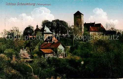 AK / Ansichtskarte 73812103 Schloss_Schaumburg_Weser Panorama 