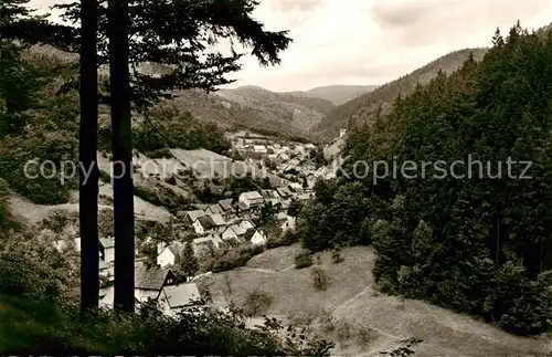 AK / Ansichtskarte  Bad_Grund Panorama Blick ins Tal Bad_Grund