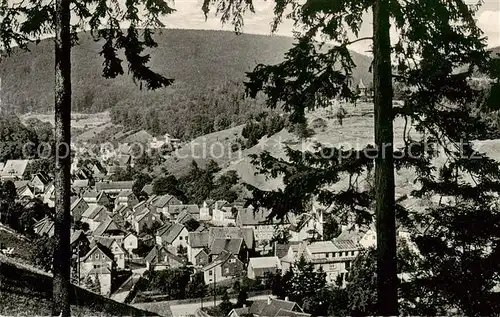 AK / Ansichtskarte  Bad_Grund Blick vom Knollen Bad_Grund