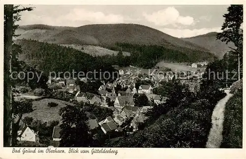 AK / Ansichtskarte  Bad_Grund Panorama Blick vom Gittelderberg Bad_Grund