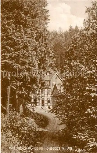 AK / Ansichtskarte  Hohegeiss_Harz Wolfsbachmuehle Waldhaus Gaststaette Hohegeiss Harz