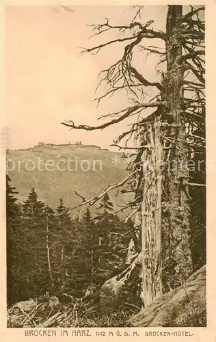 AK / Ansichtskarte 73812345 Wernigerode_Harz Blick zum Brocken Hotel Wernigerode Harz