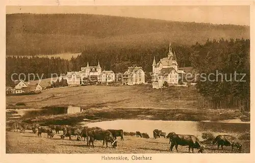 AK / Ansichtskarte  Hahnenklee-Bockswiese_Harz Panorama Hahnenklee-Bockswiese