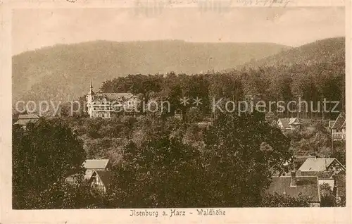 AK / Ansichtskarte  Ilsenburg_Harz Hotel Waldhoehe Ilsenburg Harz