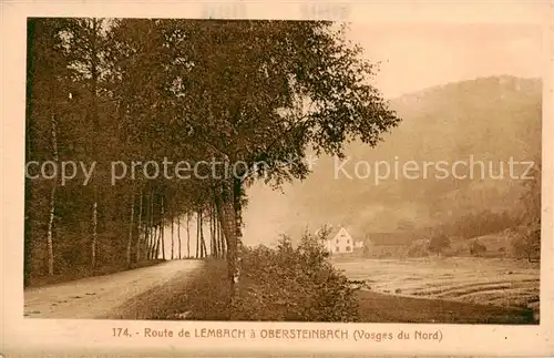 AK / Ansichtskarte Lembach_67_Alsace Route de Lembach a Obersteinbach 