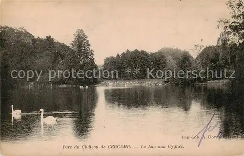 AK / Ansichtskarte Cercamp_Frevent_62_Pas de Calais Parc du Chateau Le Lac aux Cygnes 