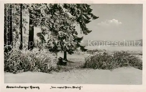 AK / Ansichtskarte  Braunlage Winterpanorama Braunlage