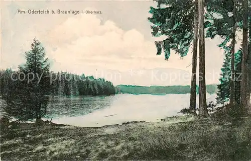 AK / Ansichtskarte  Braunlage Am Oderteich Braunlage