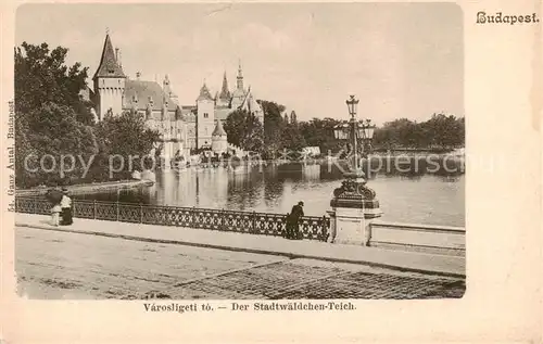 AK / Ansichtskarte  Budapest_HU Stadtwaeldchen Teich 