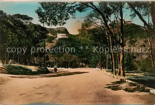 AK / Ansichtskarte  Oran_Algerie Le Belvedere et Promenade des Planteurs Oran Algerie