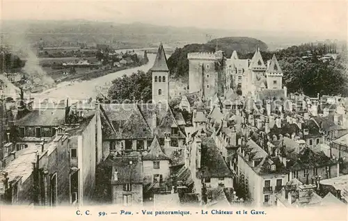 AK / Ansichtskarte Pau_64 Vue panoramique Le Chateau et le Gave 