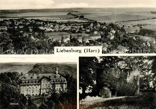 AK / Ansichtskarte 73812923 Liebenburg Panorama Schloss Alter Turm Liebenburg