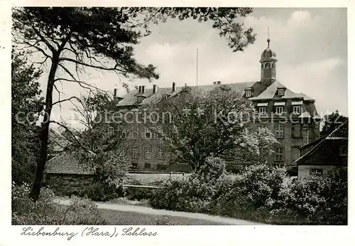 AK / Ansichtskarte  Liebenburg Schloss Liebenburg