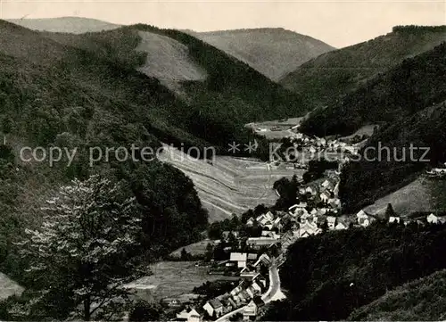 AK / Ansichtskarte 73812933 Sieber_Herzberg_am_Harz Panorama Blick vom Lilienberg 