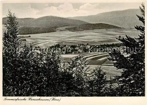 AK / Ansichtskarte  Harriehausen_Bad_Gandersheim Panorama Sommerfrische 