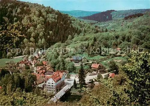 AK / Ansichtskarte  Treseburg_Harz Panorama Treseburg Harz