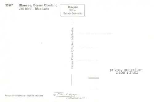 AK / Ansichtskarte Blausee Mitholz_BE Partie am See Holzbruecke 