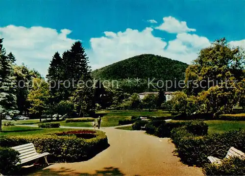 AK / Ansichtskarte  Reinhardshausen Kurpark mit Homberg Reinhardshausen