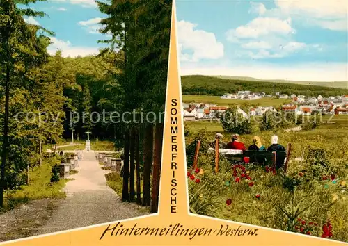 AK / Ansichtskarte  Hintermeilingen Waldweg  Panorama Hintermeilingen