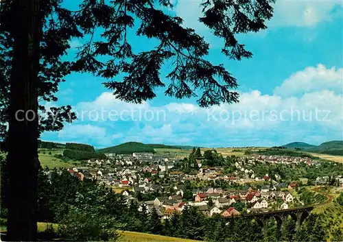 AK / Ansichtskarte  Daun_Eifel Panorama Daun_Eifel