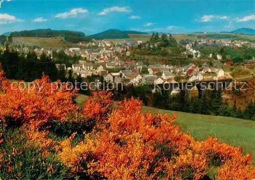 AK / Ansichtskarte  Daun_Eifel Panorama mit Bungalows Daun_Eifel