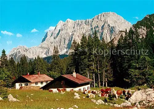 AK / Ansichtskarte  Mittenwald_Bayern Vereinsalm Mittenwald Bayern