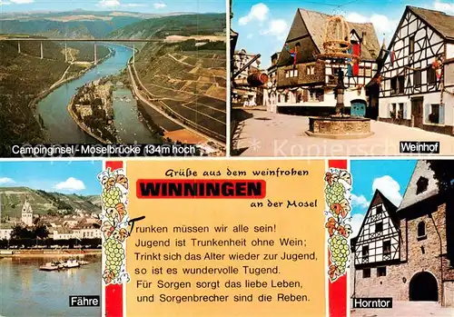 AK / Ansichtskarte  Winningen_Mosel Campinginsel Moseltalbruecke Weinhof Faehre Horntor Winningen Mosel