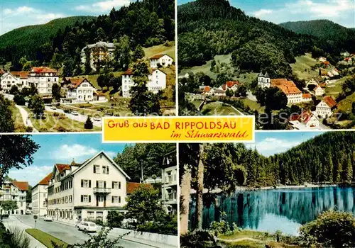 AK / Ansichtskarte  Bad_Rippoldsau_Schwarzwald Panorama Hauptstrasse Seepartie Bad_Rippoldsau