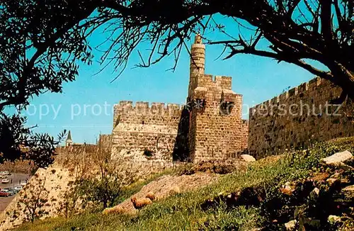 AK / Ansichtskarte 73813563 Jerusalem_Yerushalayim The Citadel Jerusalem_Yerushalayim