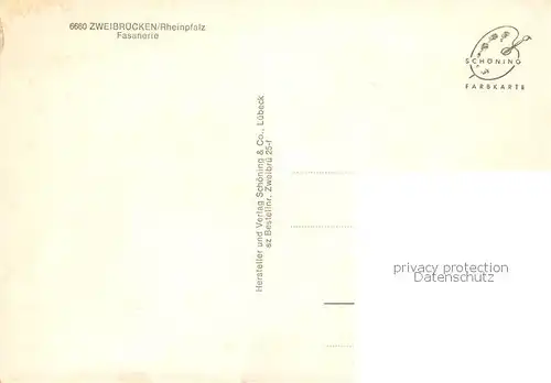 AK / Ansichtskarte  Zweibruecken_Pfalz Fasanerie Schwanenteich Zweibruecken Pfalz