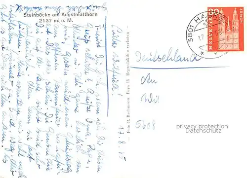 AK / Ansichtskarte Habkern Steinboecke am Augstmatthorn Berner Alpen Habkern