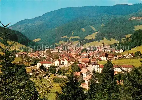 AK / Ansichtskarte  Todtnau Panorama Todtnau