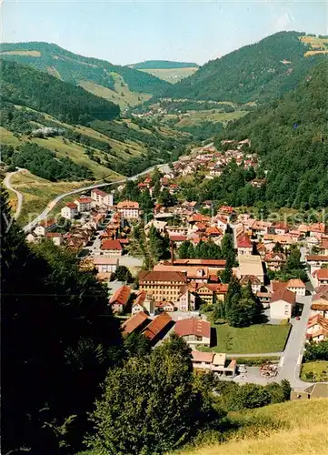 AK / Ansichtskarte  Todtnau Panorama Todtnau