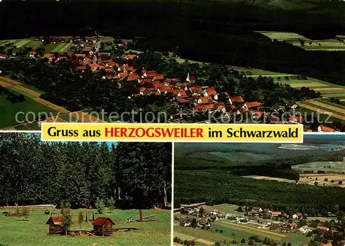 AK / Ansichtskarte 73813845 Herzogsweiler Panorama Teilansichten Herzogsweiler