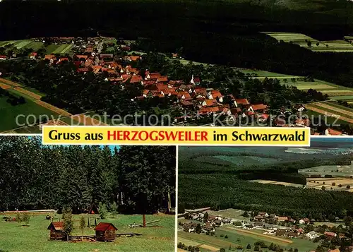 AK / Ansichtskarte  Herzogsweiler Panorama Teilansichten Herzogsweiler