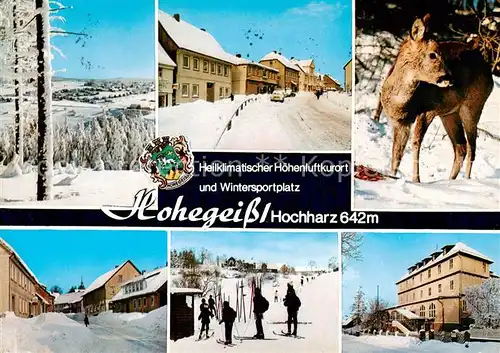 AK / Ansichtskarte  Hohegeiss_Harz Winterimpressionen Rehkitz Hohegeiss Harz