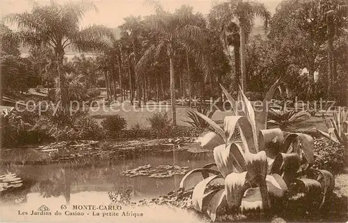 AK / Ansichtskarte  Monte-Carlo_Monaco Les Jardins du Casino La petite Afrique 