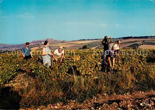 AK / Ansichtskarte Sancerre_18_Cher Vue de Bellechaume 